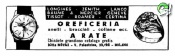 Noname 1965 107.jpg